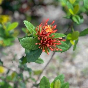 Meet your Posher, Nathaya